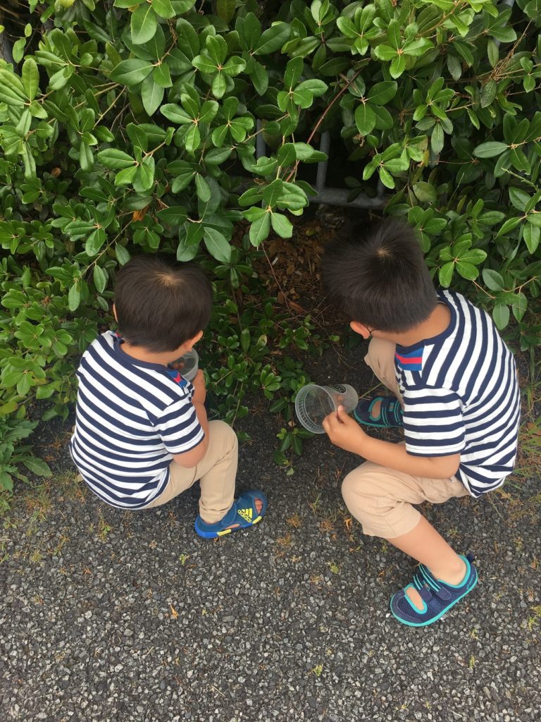 お散歩中の息子たち